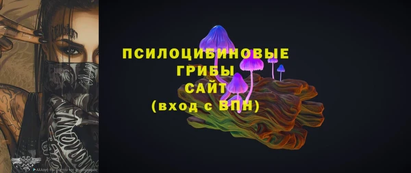 mdpv Володарск