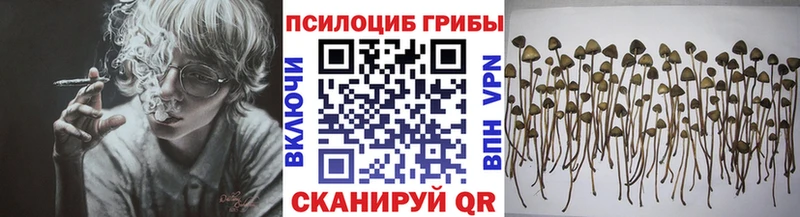 Купить  Скопин  Галлюциногенные грибы Magic Shrooms 